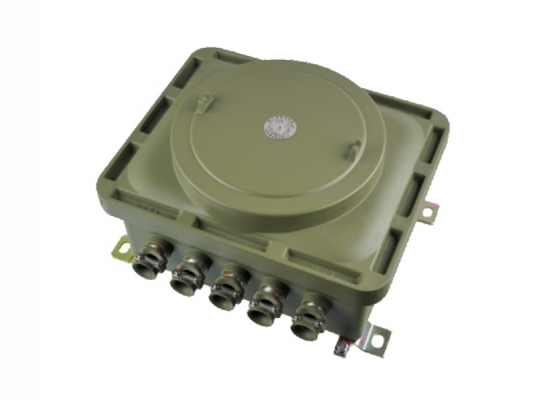 Factory Price Flame Proof Circuit Breaker - BJX sries Explosion proof connection box – Feice detail pictures